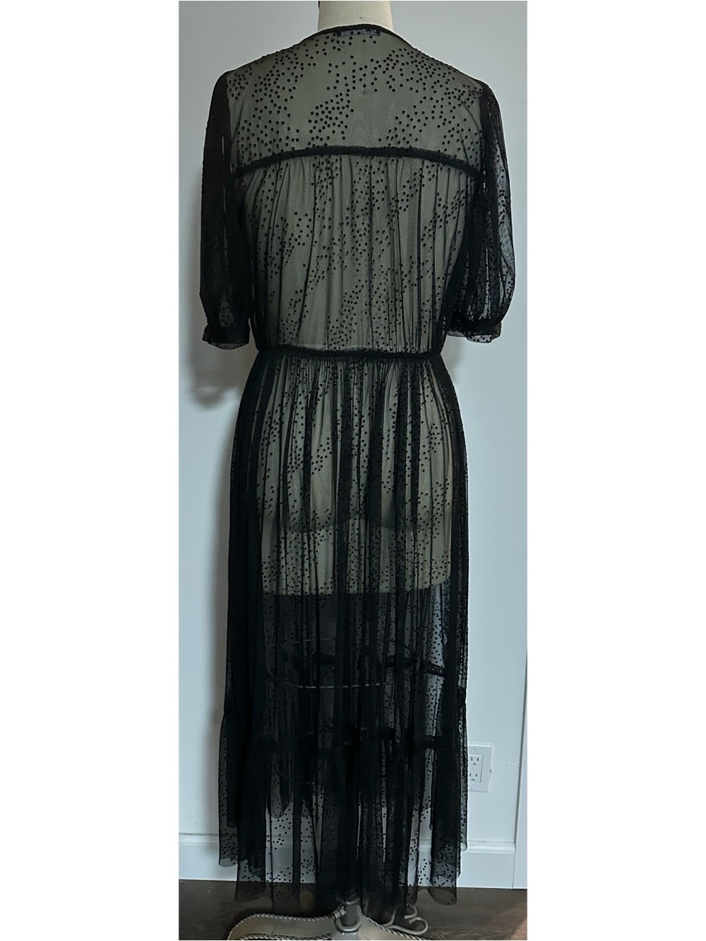 Zara Sheer Mesh Maxi Dress - Picture 3 of 5